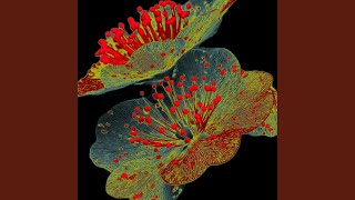 アイネクライネ 音乃瀬奏