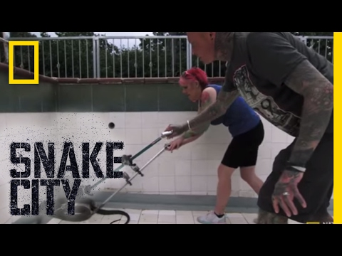 Poolside Mamba | Snake City