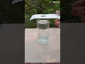 Coin Vs Paper Magic Simple Science Experiments Experiment