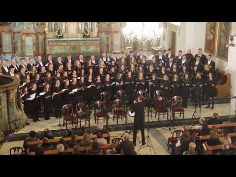 Visom leteć - Zbor mladih Varaždinske biskupije