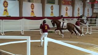 Video di Vredericcio