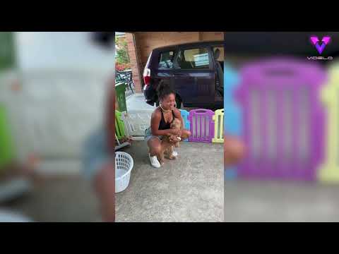 Se reencuentra con su perro tres meses después (EMOTIVO)