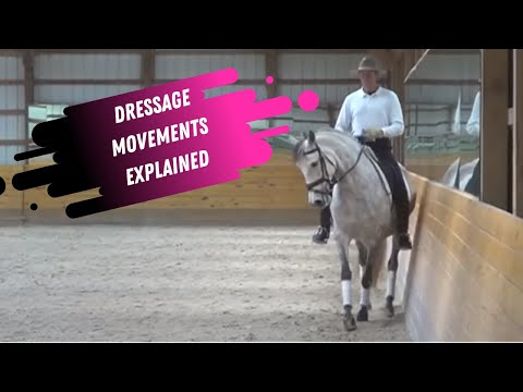 Paul Belasik: Understanding Lateral Movements in Dressage