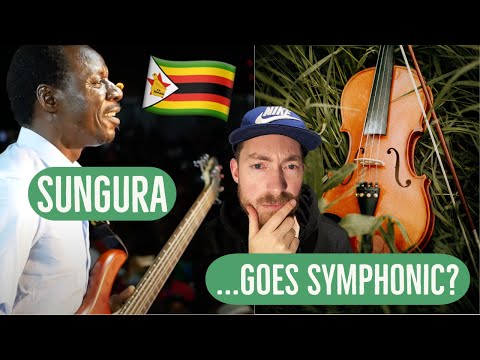 Charakupa orchestral version 🎻