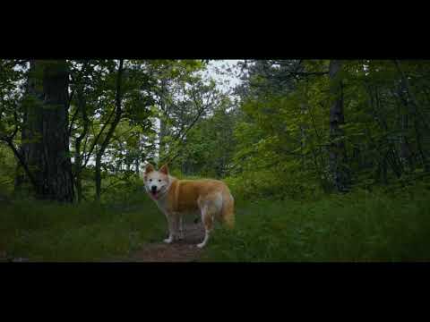 Lovasi András – Csak mi ketten