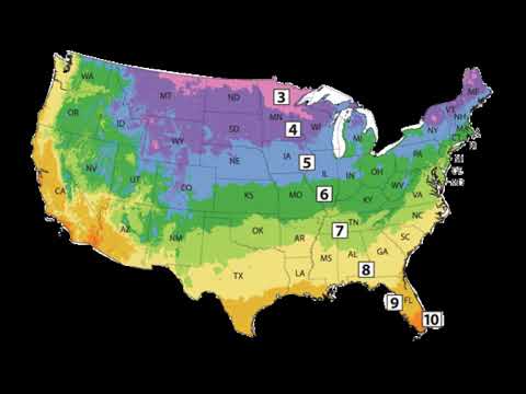 YouTube video about: What plant zone is south dakota?