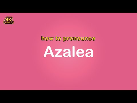 how to pronounce Azalea 【Name】