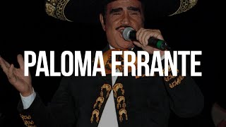 Vicente Fernández - Paloma Errante (Letra/Lyrics)