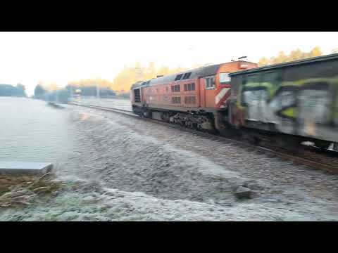 A 1960 para Tui, numa manhã gelada em 2019, Rio Côvo Santa Eugénia- Barcelos