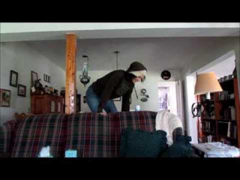 Things Cats Get Away With