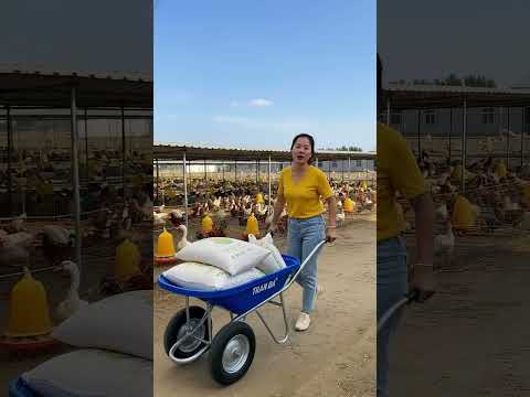 Xe rùa 2 bánh nhẹ nhàng