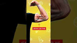5 High-Protein Foods for Muscle Growth — Full Breakdown & Transcript