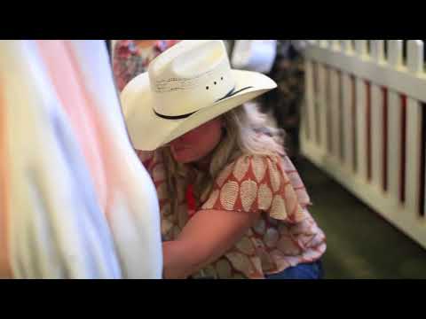 Stampede Challenge: Rodeo Olympics