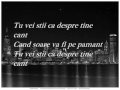 Despre Tine Cant - Dan Balan (with lyrics) 