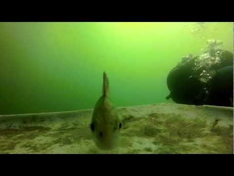 Straussee, Straussee,Strausberg,Brandenburg,Deutschland