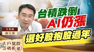 台積跌倒AI仍漲 選好股抱股過年 (圖)