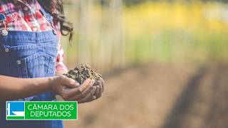  Discussão e votação de propostas legislativas - 27/05/2026 10:00