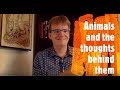 Animals In My First Book