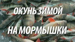 Нормунд грабовскис ловля окуня на топорик