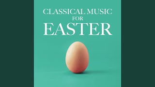 Fandango in D Minor