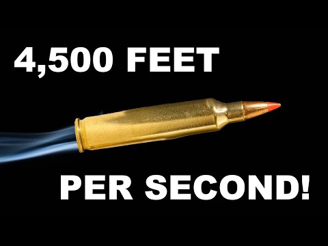 204 Ruger: Little Cartridge with BIG Punch!