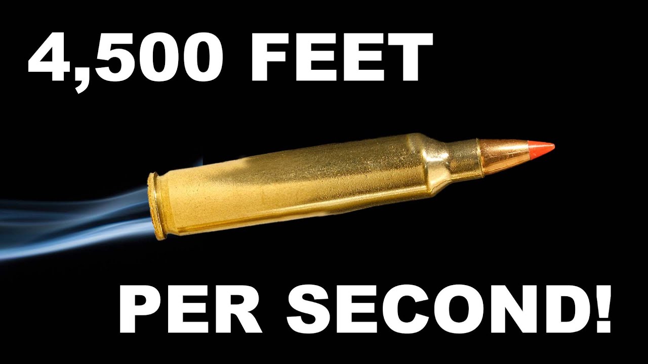 204 Ruger: Little Cartridge with BIG Punch!