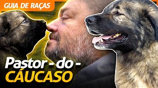 Miniatura do vídeo