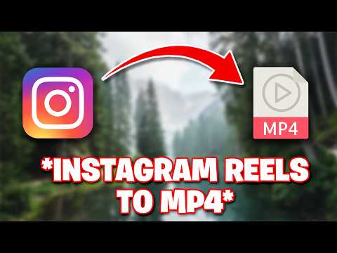 Insta To Mp4