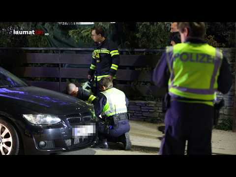 Verletzte Katze nach Unfall in Wels-Vogelweide unter Auto eingeklemmt