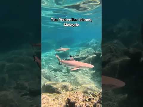 INDIVIDUAL ASSIGNMENT BUSINESS DEVELOPMENT RESORT AND VISITOR ATTRACTION