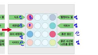 [초등과학 5-2 무료강의] 5. 산과 염기 ③ 지시약을 이용해 여러 가지 용액을 어떻게 분류할 수 있을까요? 2
