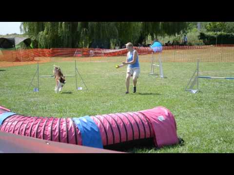 Monori Móka 2017.08.05. Léda 1