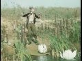 Песня Дуремара из фильма Приключения Буратино) 