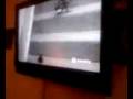 Meatball Watching Tv America S Funniest Videos