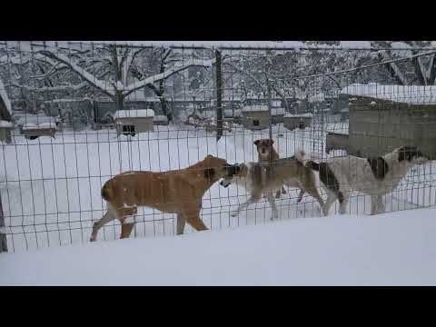 Rabea Elric Mecho und Yuma hätten gern Besuch 250218