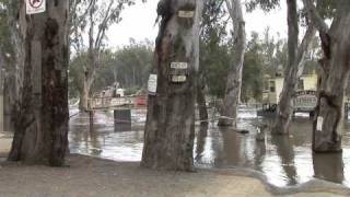 preview picture of video 'Echuca Wharf Area Flooding Sun 19/09/10'