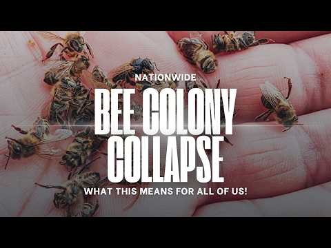 Proof POSITIVE... We Are In TROUBLE!!!