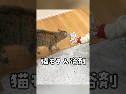 youtube-動物記事1970/01/01 09:00:00