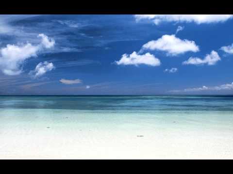 Celso Fonseca e Ronaldo Bastos - Slow Motion Bossa Nova