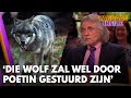 Johan over wolf in bebouwde kom Amersfoort: 'Die zal wel door Poetin gestuurd zijn' | VANDAAG INSIDE
