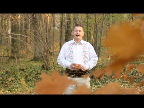 CRISTI SALASAN   Ruginita-i frunza toamna