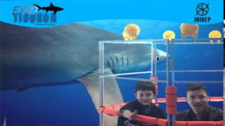 DIA 3 Expo Tiburon64