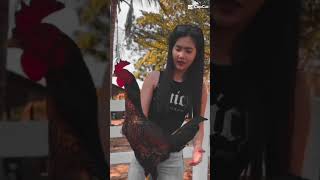 Download lagu STORY W.A CEWEK CANTIK BAWA AYAM 🐔🐔🐔 #cewekcantik #ayam #modelcantik #fypyoutube #viralshorts mp3 Download lagu STORY W.A CEWEK CANTIK BAWA AYAM 🐔🐔🐔 #cewekcantik #ayam #modelcantik #fypyoutube #viralshorts mp3