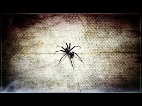 FREE NO COPYRIGHT 2K HD SCREENSAVER LIVE WALLPAPER CREEPING SPIDER & SMOKE