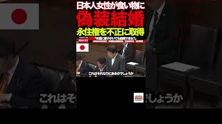 【北村晴男】③「結婚→永住権→離婚→家族呼び寄せ」国会で暴かれた制度の盲点#北村晴男#日本保守党#国会質疑#移民政策#永住権#偽装結婚#重婚問題#入管法#外国人問題
