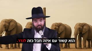 הרב נתנאל סנדרו בוחניק שליט"א - אל תהיו פיל! (הרב נתנאל סנדרו בוחניק) - התמונה מוצגת ישירות מתוך אתר האינטרנט יוטיוב. זכויות היוצרים בתמונה שייכות ליוצרה. קישור קרדיט למקור התוכן נמצא בתוך דף הסרטון