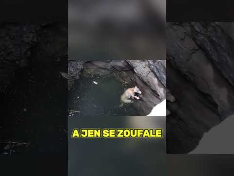 Zachránili Ho Na Poslední Chvíli #shorts