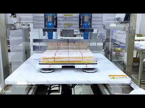 Frozen Sheet Cake Automatic Cutting Machine - Ultrasonic Cake Cutter