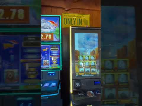 Spring Brook Sports Bar and Grill Video Review
