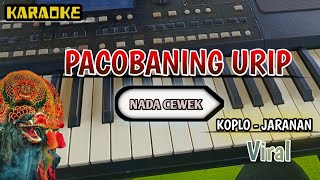 Download lagu PACOBANING URIP - KARAOKE | VERSI KOPLO JARANAN NADA CEWEK mp3 Download lagu PACOBANING URIP - KARAOKE | VERSI KOPLO JARANAN NADA CEWEK mp3